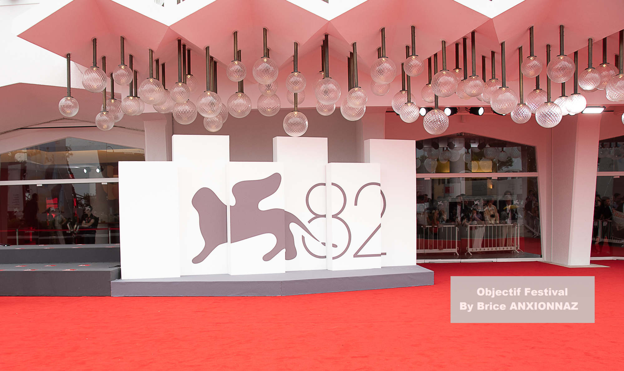 Ghost  Elephants / 82eme Mostra Del Cinema / Objectif Festival by Brice ANXIONNAZ