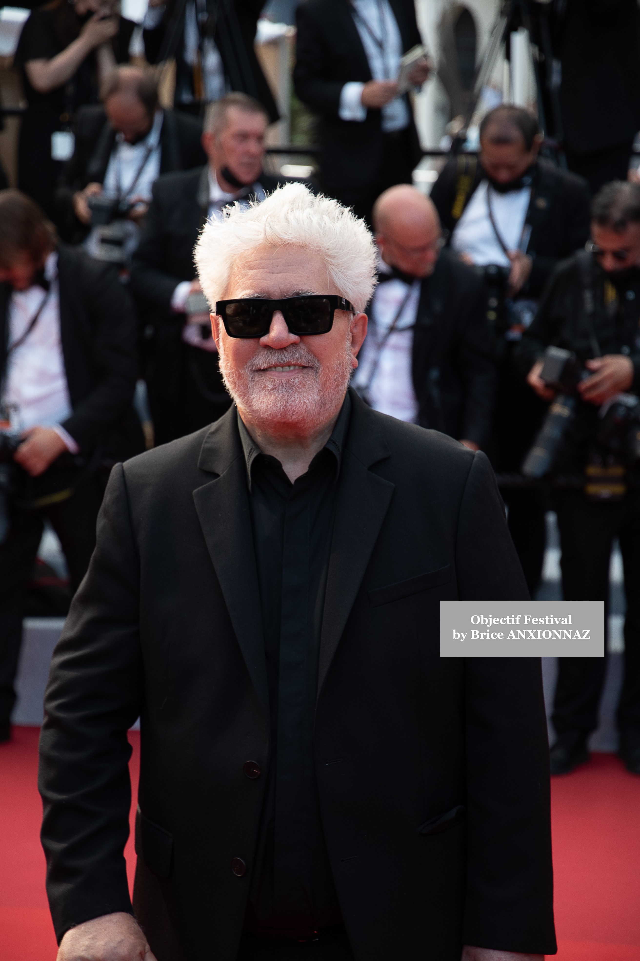 Photos of Pedro Almodovar